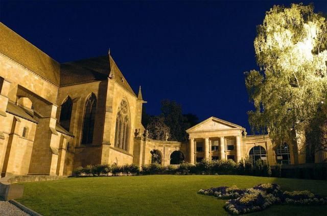 musee-pierre-noel-saint-die-des-vosges-expo-alice-aucuit