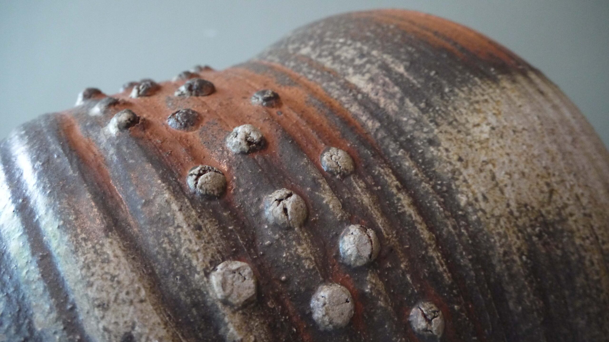 installation-Seed of lifire-alice-aucuit-ceramiste