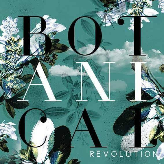 botanical-revolution-expo-terla-alice-aucuit-ceramiste