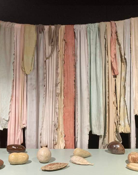 expo-aster-asterla-centre-creation-contemporaine-olivier-debre-alice-aucui