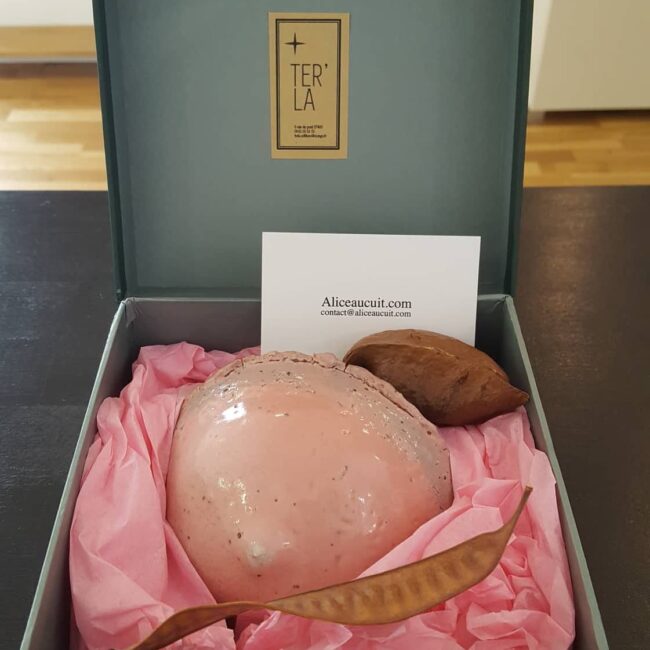 oeuvre-graine-mere-alice-aucuit-ceramiste